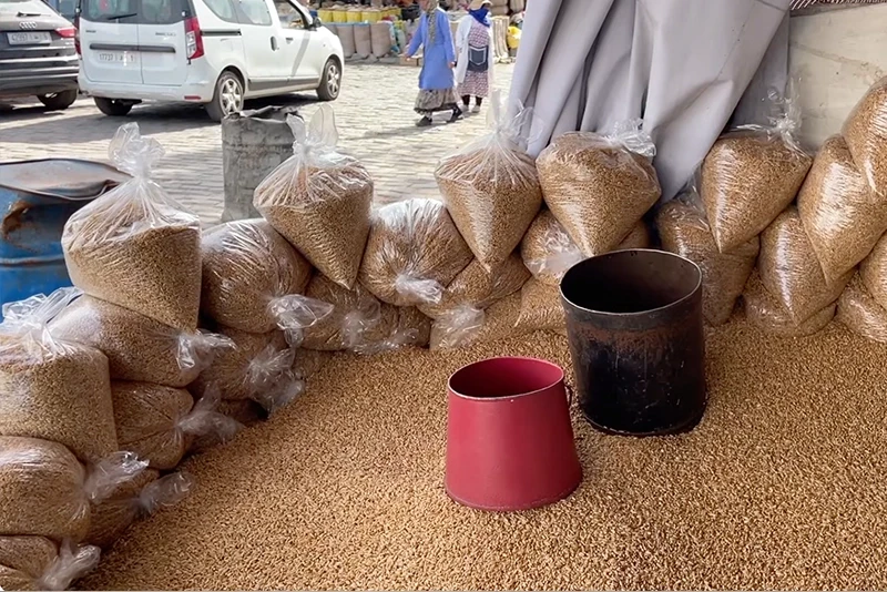 سوق الحبوب وزكاة الفطر نقدا